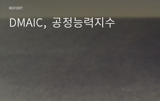 DMAIC,  공정능력지수