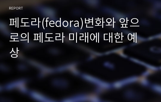 페도라(fedora)변화와 앞으로의 페도라 미래에 대한 예상