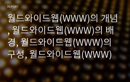 월드와이드웹(WWW)의 개념, 월드와이드웹(WWW)의 배경, 월드와이드웹(WWW)의 구성, 월드와이드웹(WWW)의 서비스, 월드와이드웹(WWW)의 검색전술, 월드와이드웹(WWW)의 효과와 제언 분석(인터넷, 사이버공간, 웹)