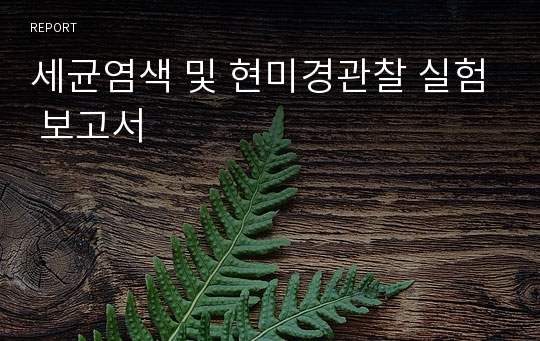 세균염색 및 현미경관찰 실험 보고서