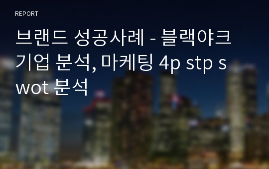 브랜드 성공사례 - 블랙야크 기업 분석, 마케팅 4p stp swot 분석