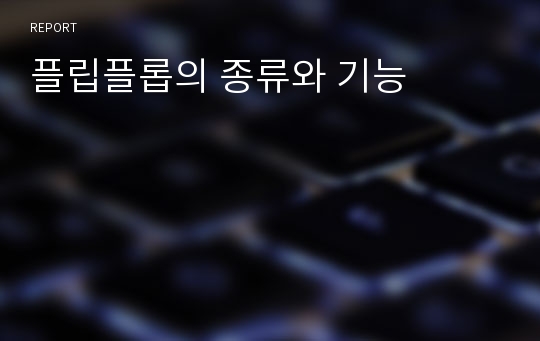 플립플롭의 종류와 기능