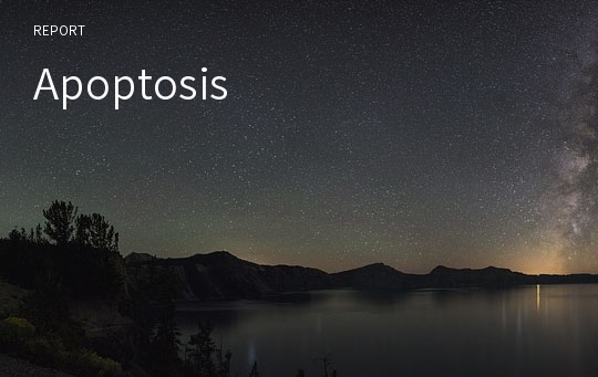 Apoptosis