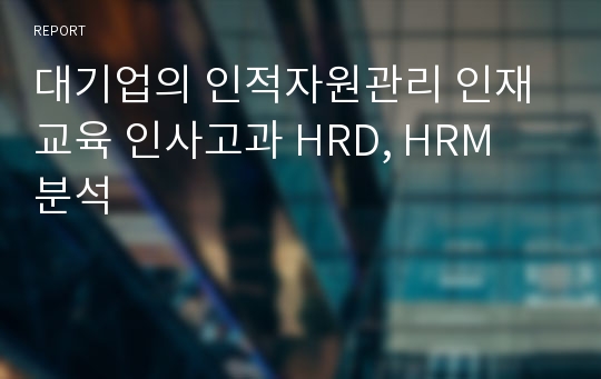 대기업의 인적자원관리 인재교육 인사고과 HRD, HRM 분석