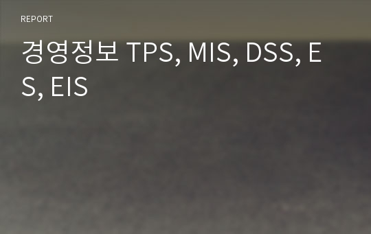 경영정보 TPS, MIS, DSS, ES, EIS