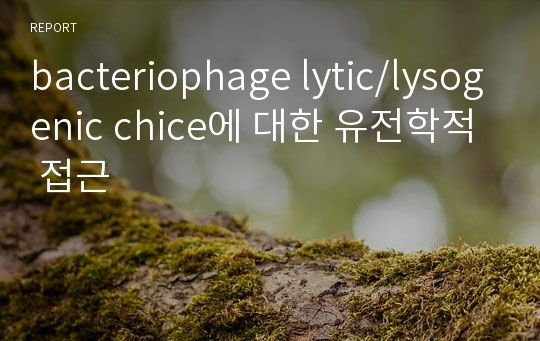 bacteriophage lytic/lysogenic chice에 대한 유전학적 접근