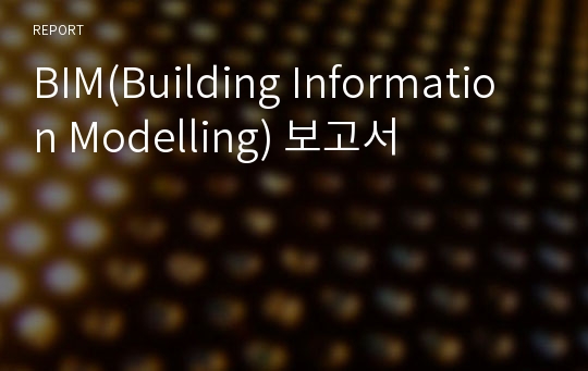 BIM(Building Information Modelling) 보고서