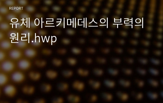 유체 아르키메데스의 부력의 원리.hwp