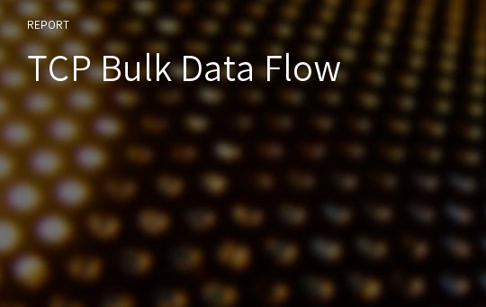 TCP Bulk Data Flow