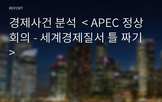 경제사건 분석  &lt; APEC 정상회의 - 세계경제질서 틀 짜기 &gt;