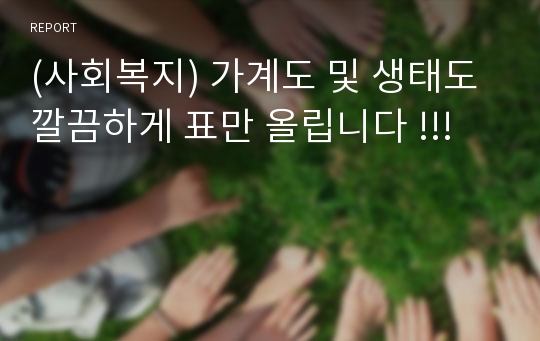 (사회복지) 가계도 및 생태도 깔끔하게 표만 올립니다 !!!