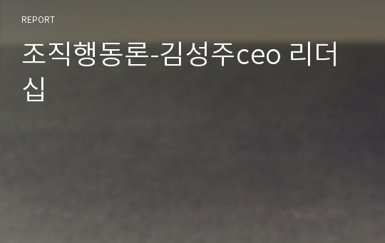 조직행동론-김성주ceo 리더십