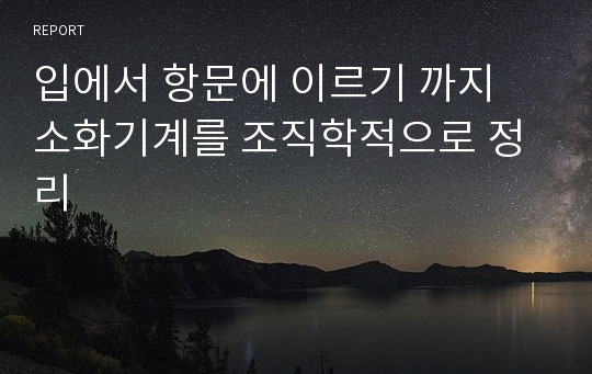 입에서 항문에 이르기 까지 소화기계를 조직학적으로 정리