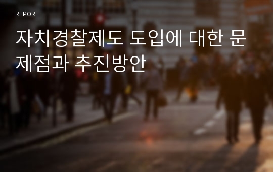 자치경찰제도 도입에 대한 문제점과 추진방안