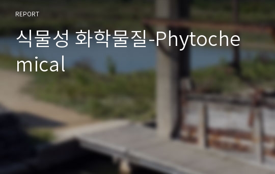 식물성 화학물질-Phytochemical
