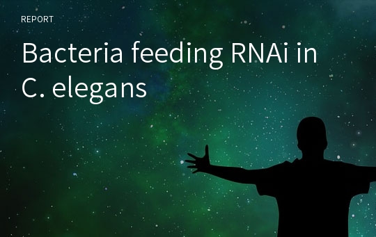 Bacteria feeding RNAi in C. elegans