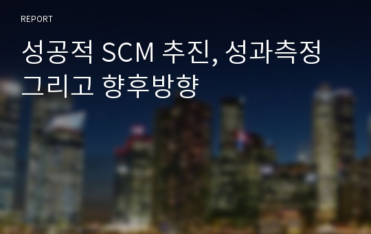 성공적 SCM 추진, 성과측정 그리고 향후방향