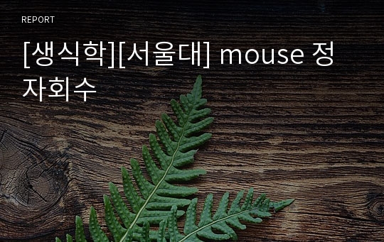 [생식학][서울대] mouse 정자회수