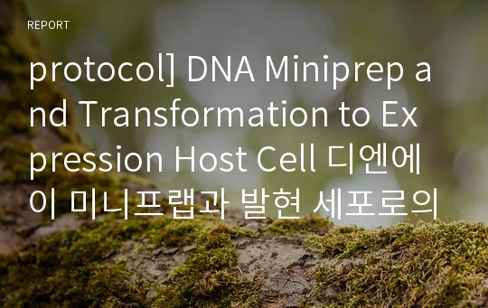 protocol] DNA Miniprep and Transformation to Expression Host Cell 디엔에이 미니프랩과 발현 세포로의 트랜스포메이션