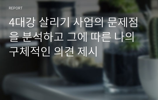 4대강 살리기 사업의 문제점을 분석하고 그에 따른 나의 구체적인 의견 제시