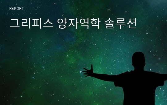 그리피스 양자역학 솔루션