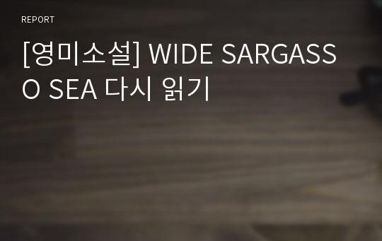 [영미소설] WIDE SARGASSO SEA 다시 읽기