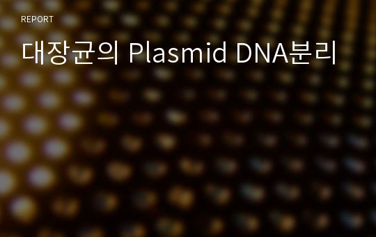 대장균의 Plasmid DNA분리