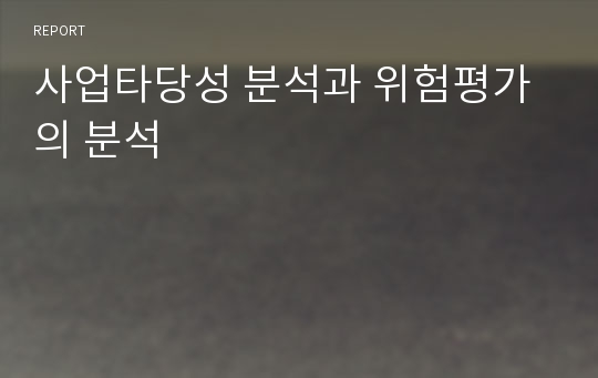 사업타당성 분석과 위험평가의 분석