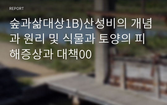 숲과삶대상1B)산성비의 개념과 원리 및 식물과 토양의 피해증상과 대책00