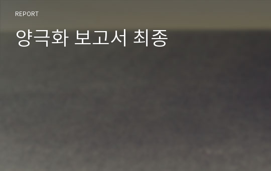 양극화 보고서 최종