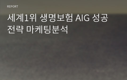 세계1위 생명보험 AIG 성공전략 마케팅분석