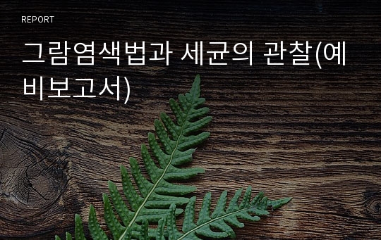 그람염색법과 세균의 관찰(예비보고서)