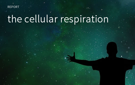 the cellular respiration