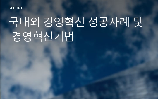 [A+자료] 국내외 경영혁신 성공사례 및 경영혁신기법