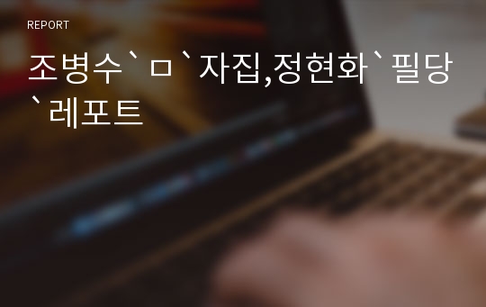 조병수`ㅁ`자집,정현화`필당`레포트