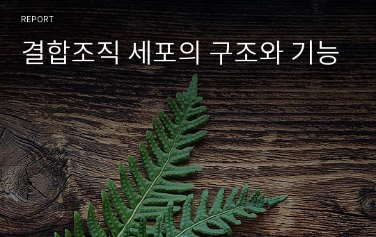 결합조직 세포의 구조와 기능