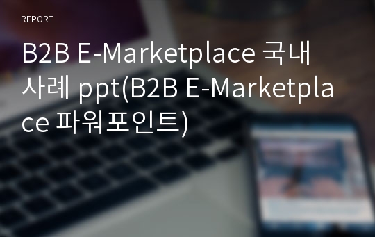 B2B E-Marketplace 국내 사례 ppt(B2B E-Marketplace 파워포인트)