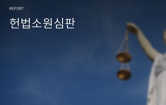 헌법소원심판