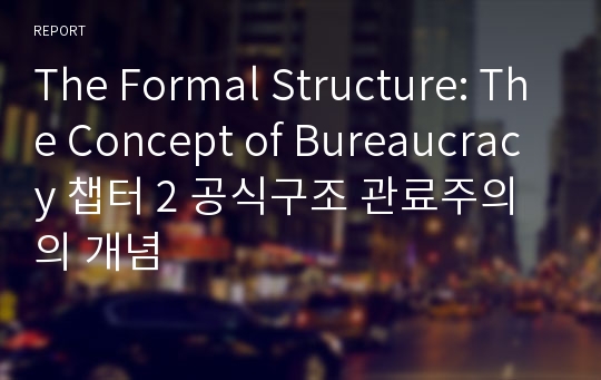 The Formal Structure: The Concept of Bureaucracy 챕터 2 공식구조 관료주의의 개념