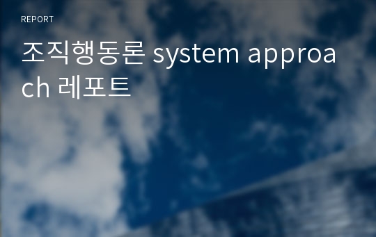 조직행동론 system approach 레포트