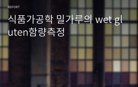 식품가공학 밀가루의 wet gluten함량측정