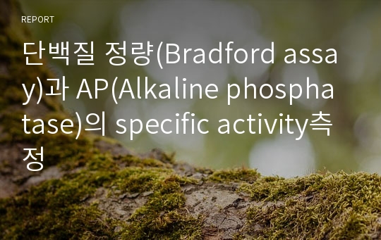 단백질 정량(Bradford assay)과 AP(Alkaline phosphatase)의 specific activity측정