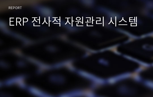 ERP 전사적 자원관리 시스템