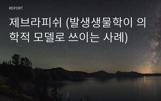 제브라피쉬 (발생생물학이 의학적 모델로 쓰이는 사례)