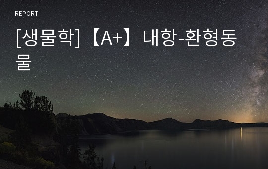 [생물학]【A+】내항-환형동물