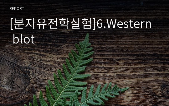 [분자유전학실험]6.Western blot