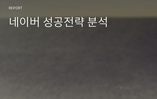 네이버 성공전략 분석