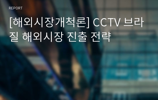 [해외시장개척론] CCTV 브라질 해외시장 진출 전략