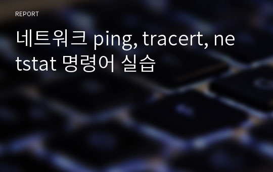 네트워크 ping, tracert, netstat 명령어 실습