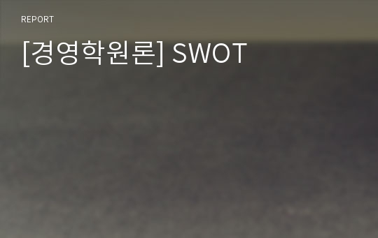 [경영학원론] SWOT